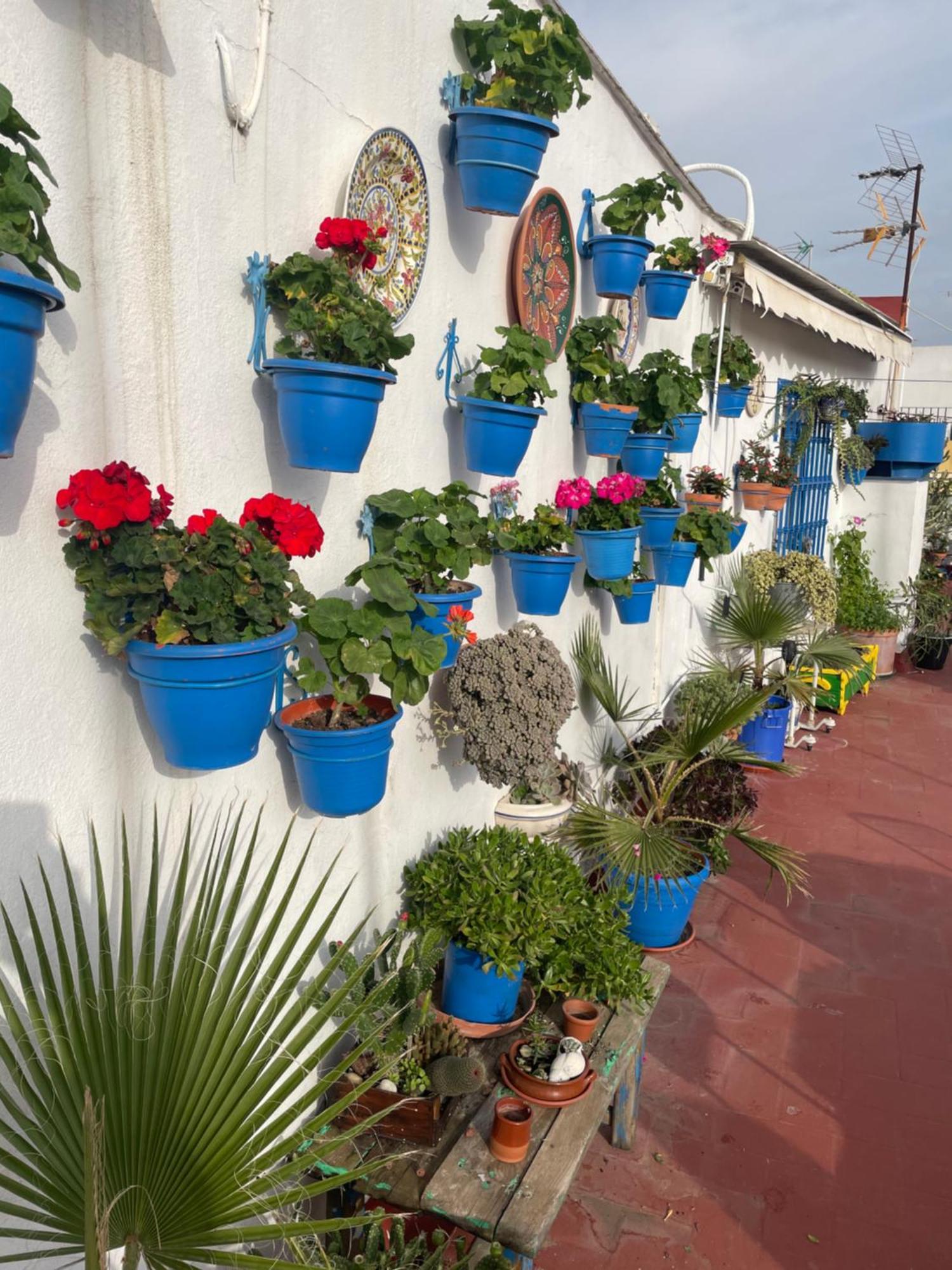 Apartamento Arco Macarena Sevilla Exterior foto